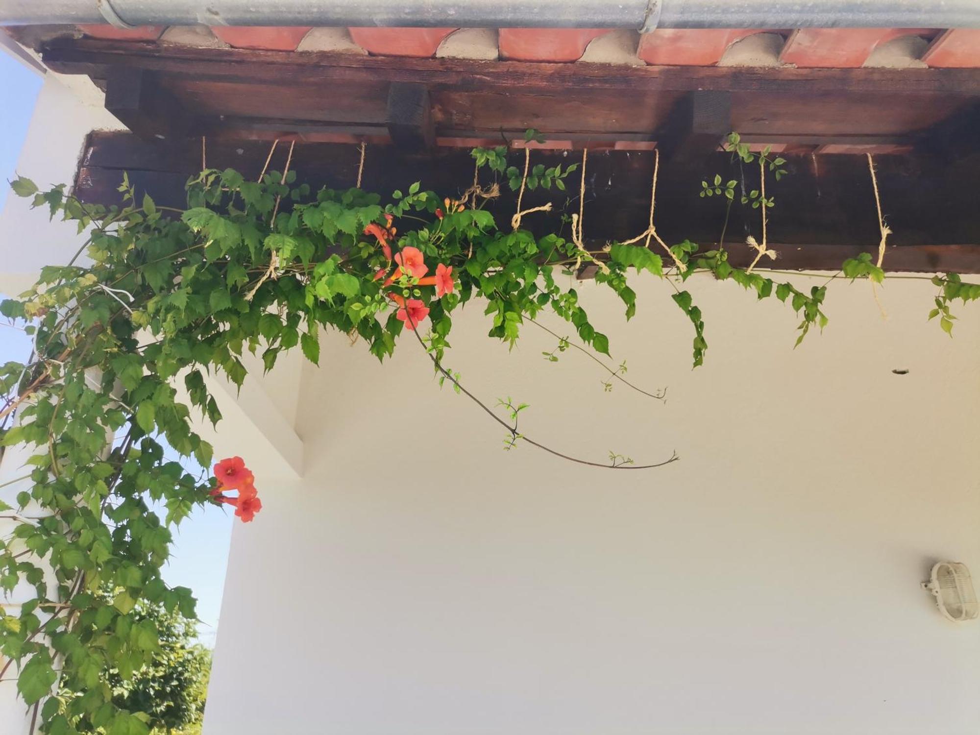 Felgar Quinta Do Retiro旅馆 外观 照片